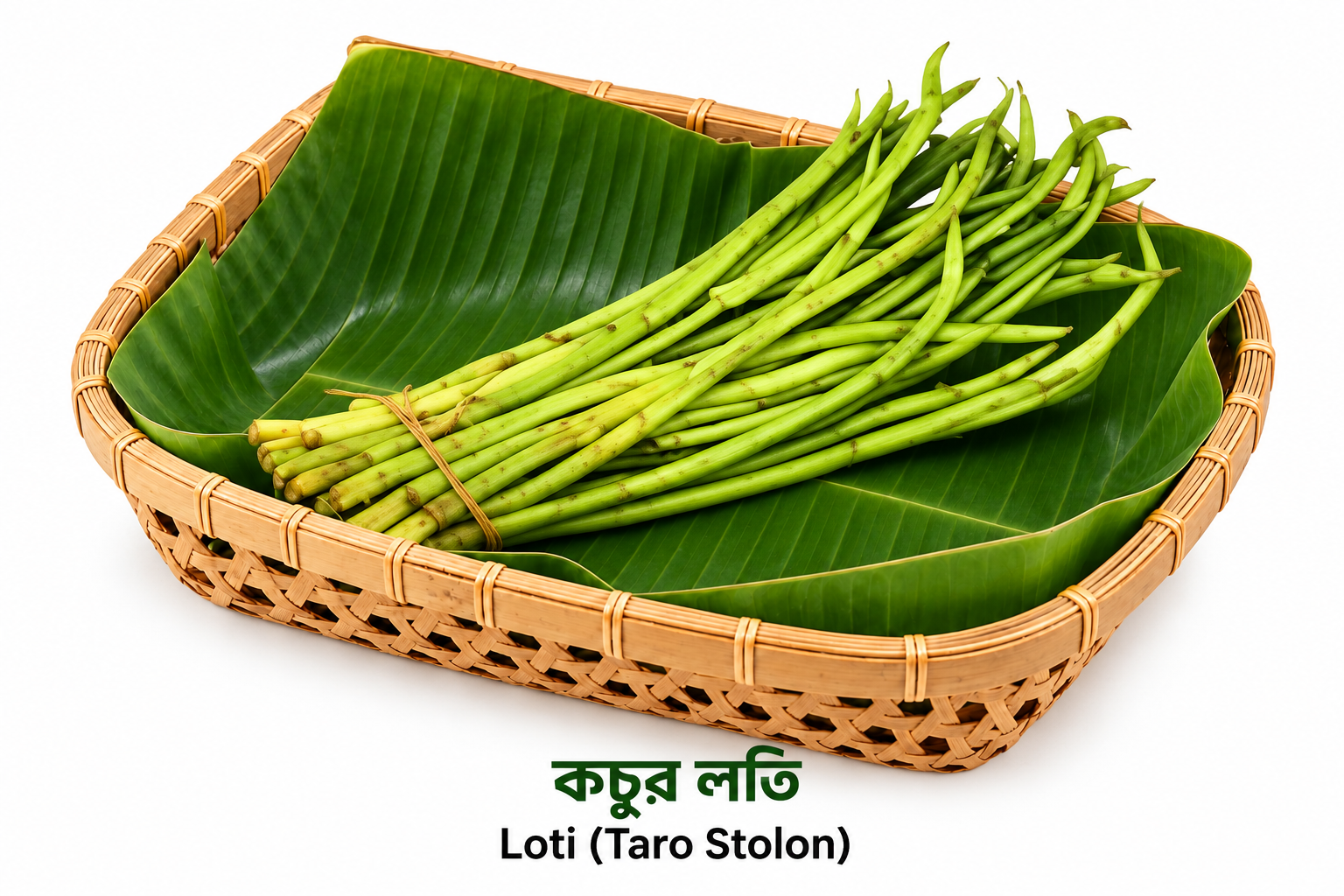 Loti (Taro Stolon)